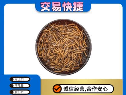 金华市永康高价回收散虫草